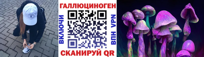 OMG зеркало  купить наркотик  Куйбышев  Галлюциногенные грибы мицелий 